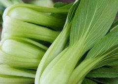 植物冠層分析儀如何助力農(nóng)業(yè)研究？